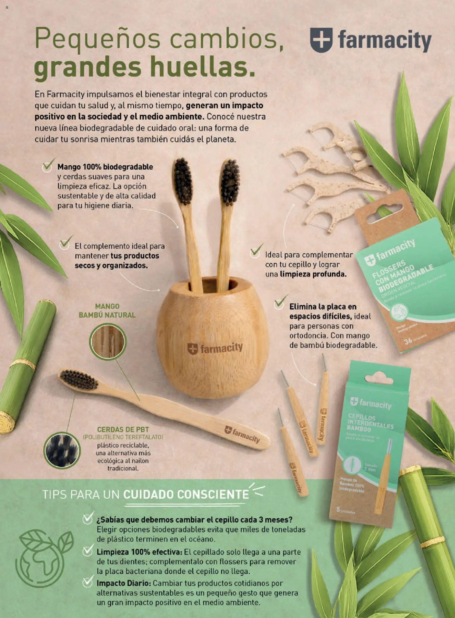 Farmacity catálogo │ válido desde el 03.03.2026 | Página: 76 | Productos: Cepillo, Mango, Té