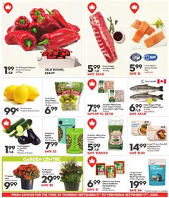 Longo's flyer valid from 11.09.2025 | Page: 8 | Products: Bag, Bra, Chicken, Pork