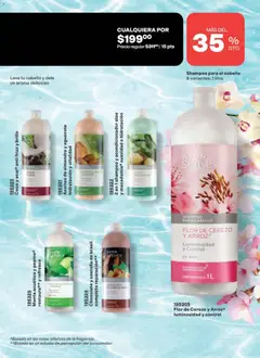 Vista previa de 2 en 1 shampoo y acondicionador aloe y macadamia* suavidad e hidratación, 2 in 1 shampoo and conditioner aloe and macadamia, smoothness and hydration, 1 L, nuevo folleto de la tienda, válido en México a partir del 02.04.2026 | Página: 177 | Productos: Aguacate, Chocolate, Almendra, Acondicionador