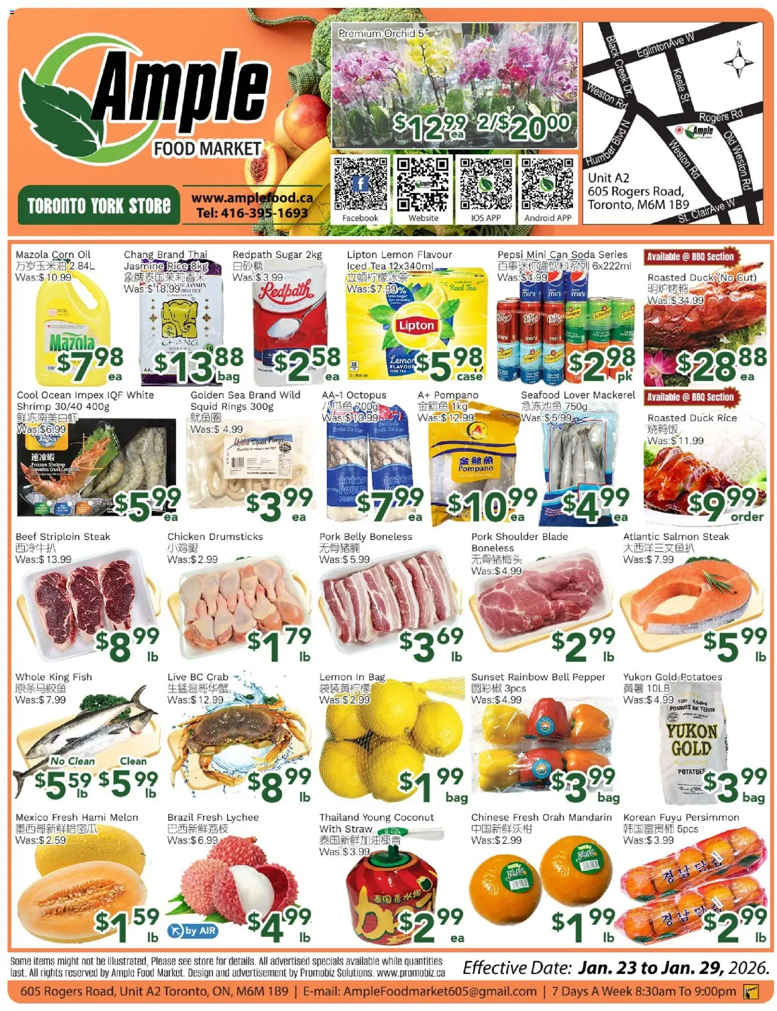 Ample Food Market flyer valid from 23.01.2026 | Page: 1