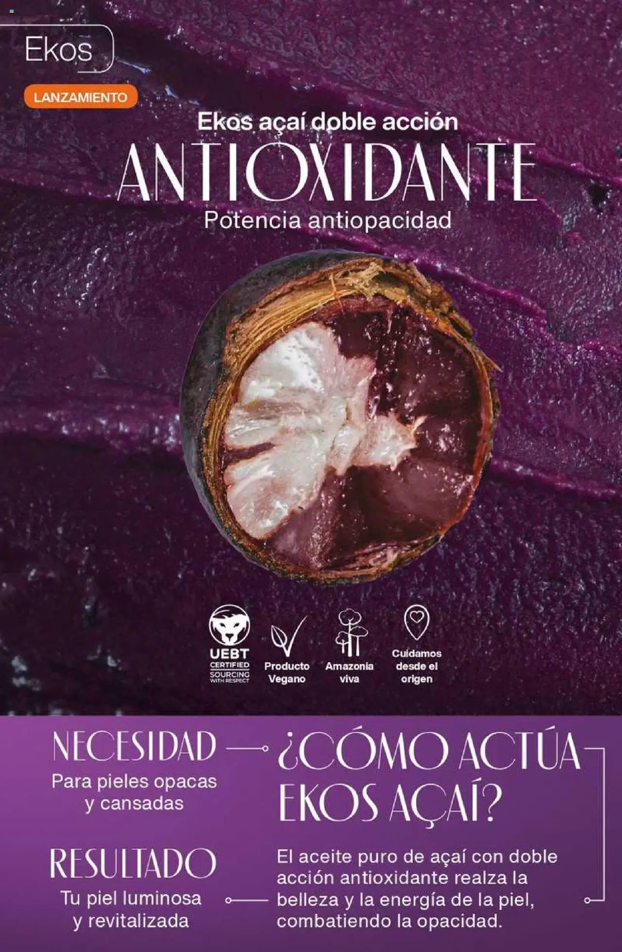 Catálogo Natura Ciclo 8 │ válido desde el 03.06.2025 | Página: 158 | Productos: Aceite