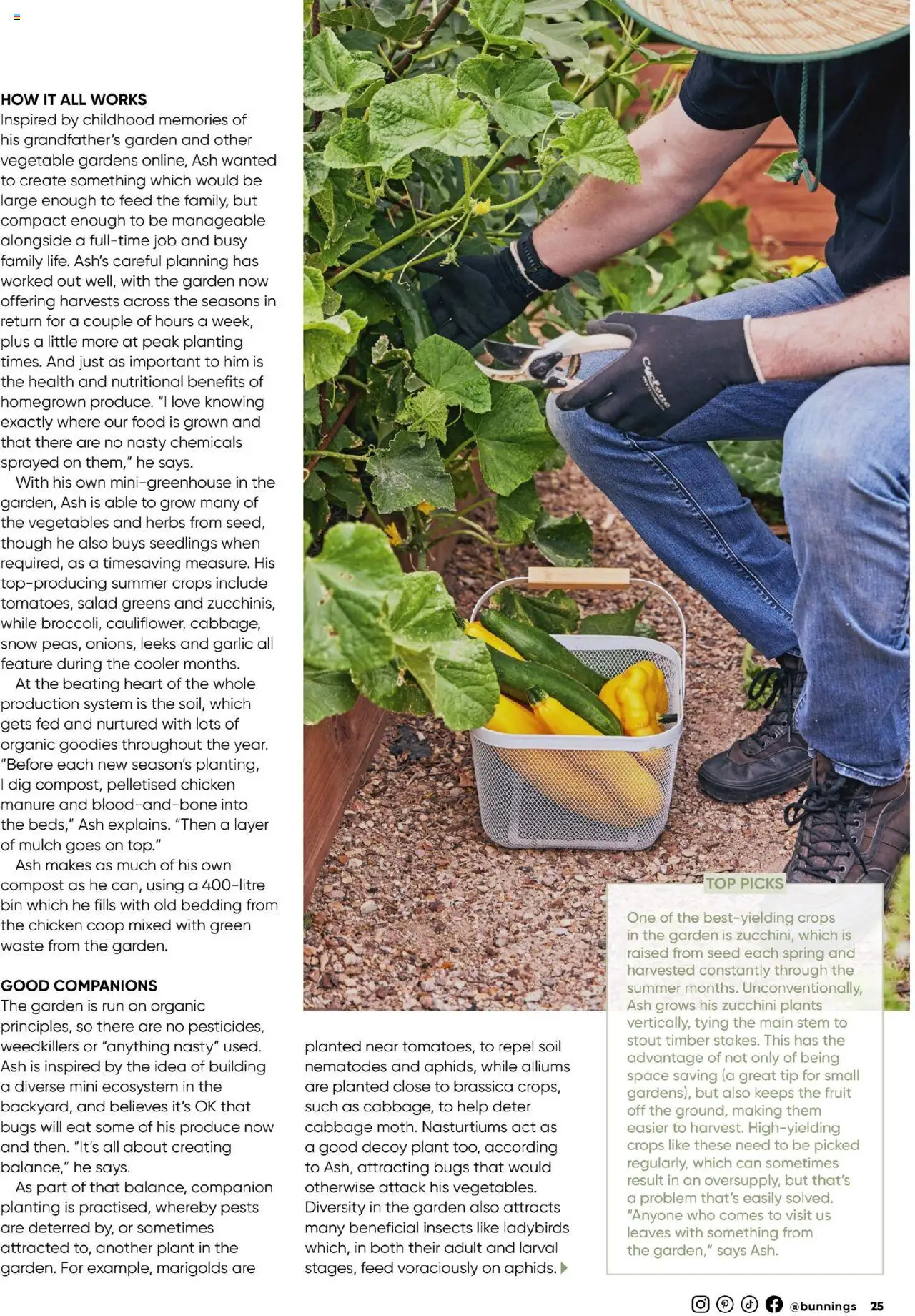 Bunnings Warehouse catalogue - valid from 01.10.2025 | Page: 25 | Products: Plant, Compost, Vegetables, Garlic