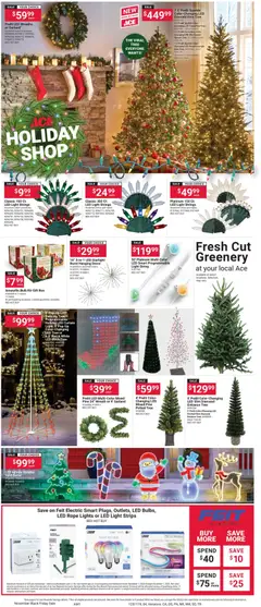 Preview of ACE Hardware weekly ads valid from 01.11.2025 | Page: 4