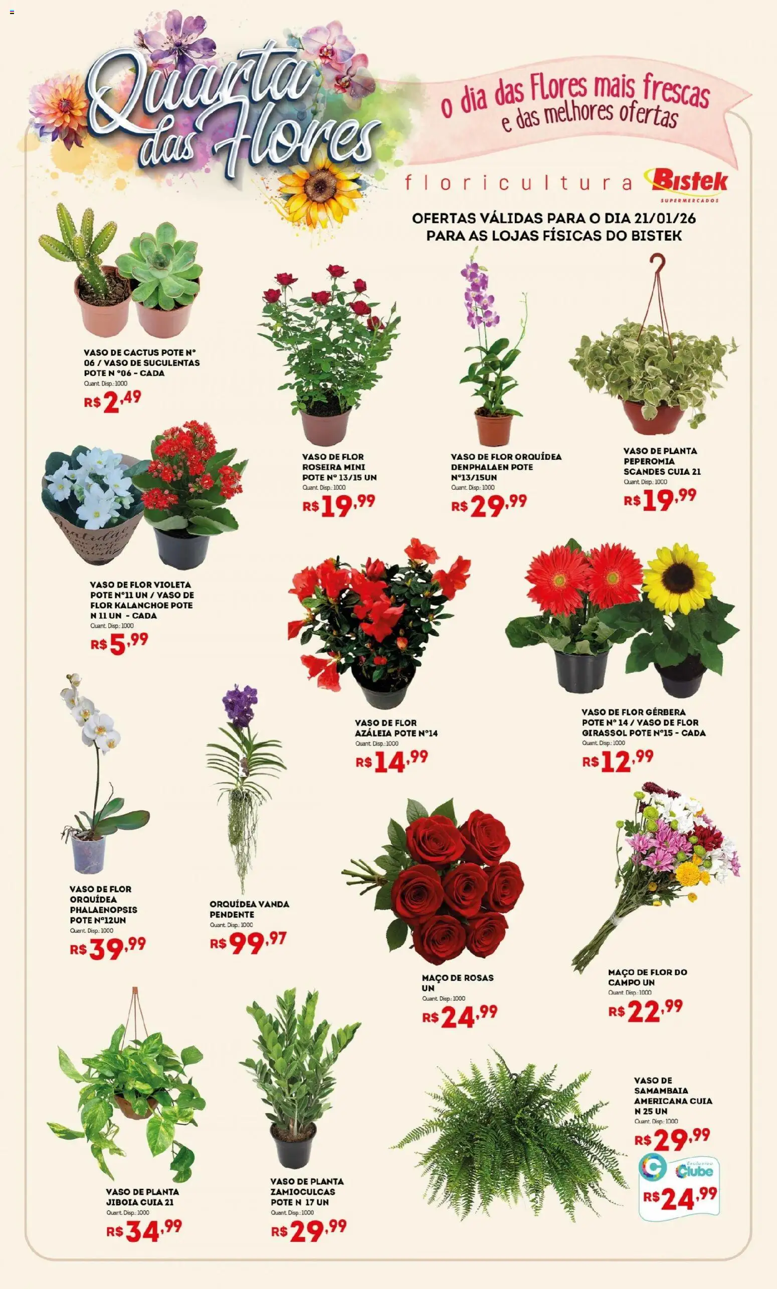Bistek Supermercados Folheto - válido de 21.01.2026 | Página: 1 | Produtos: Denphalaen, Flores, Vaso