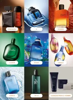 Vista previa de folleto Natura catálogo  - Ciclo 6 de la Natura válido desde 31.03.2026 | Página: 40