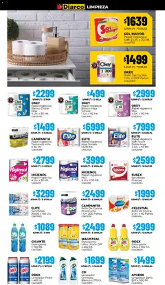 Vista previa Diarco - Ofertas Sur válido desde el 24.11.2025 | Página: 17