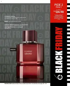 Vista previa de folleto Ésika - Campaña 17 de la Ésika válido desde 24.10.2025 | Página: 169