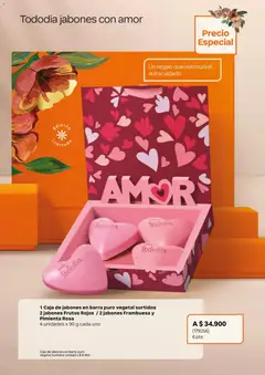 Natura catálogo -  Vista previa de la revista de la tienda Natura valido desde el 01.04.2026 | Página: 30 | Productos: Pimienta, Caja