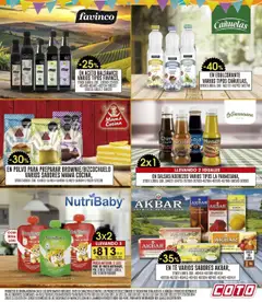 Vista previa Coto - Ofertas válido desde el 20.10.2025 | Página: 13