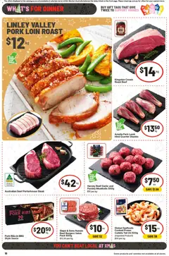 Preview of IGA Catalogue WA - valid from 10.12.2025 | Page: 17