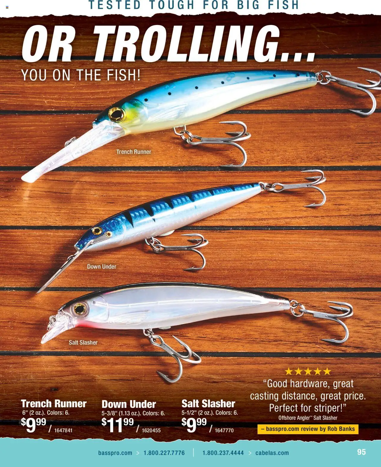 Cabela's Saltwater Specialist 25 - valid from 01.01.2025 | Page: 95 | Products: Fish, Salt