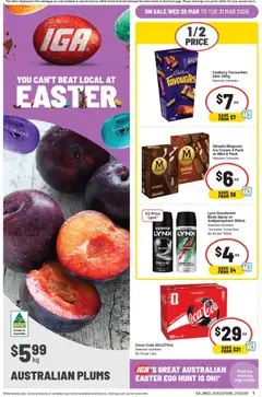 Preview of IGA catalogue SA - valid from 25.03.2026