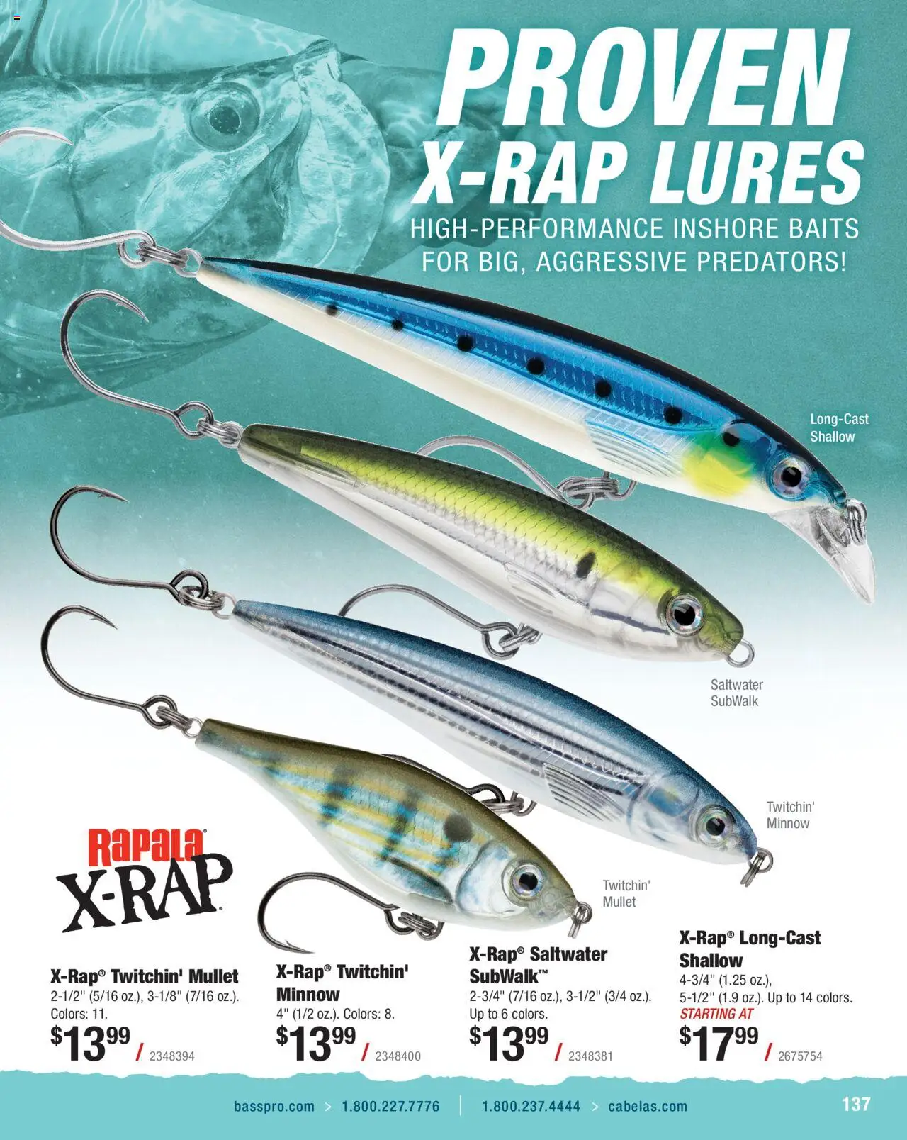 Cabela's Saltwater Specialist 25 - valid from 01.01.2025 | Page: 137