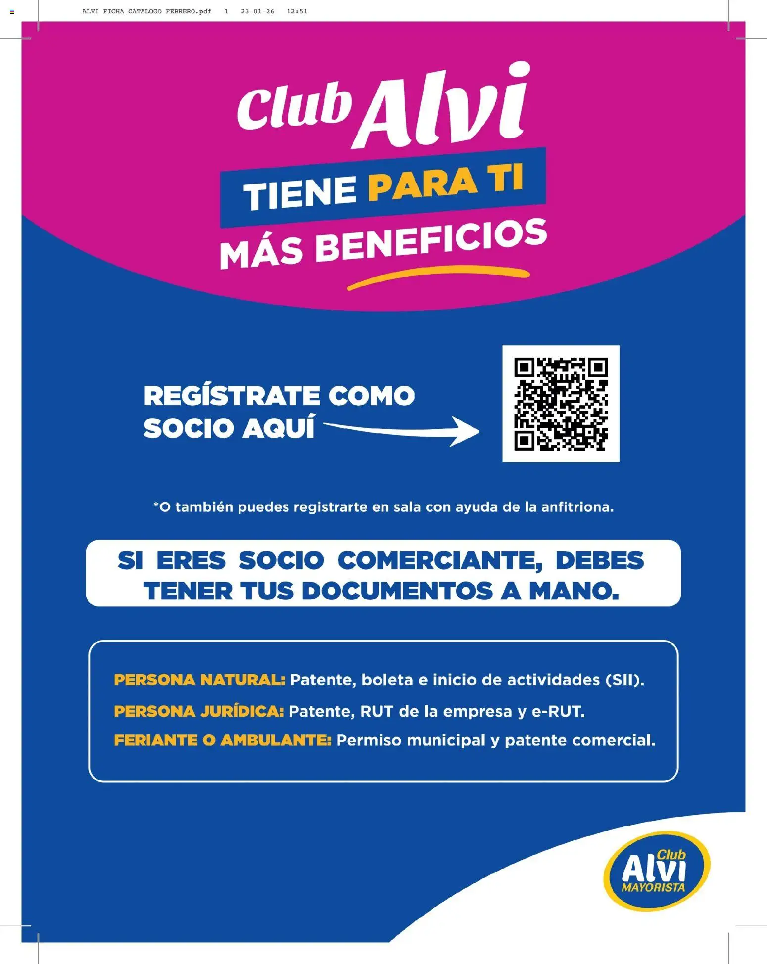 Alvi catálogo │ válido desde el 11.02.2026 | Página: 11