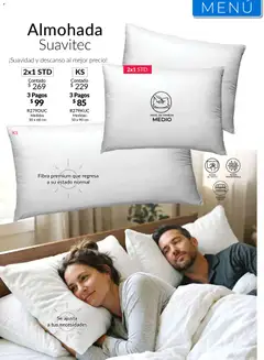 Vista previa de Colchas Concord catálogo, nuevo folleto de la tienda, válido en México a partir del 01.05.2026 | Página: 155 | Productos: Almohada