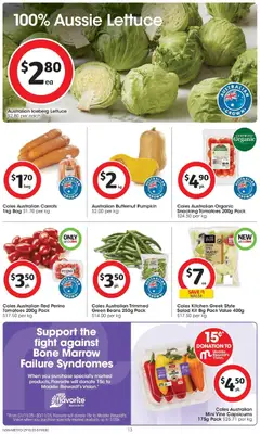 Preview of Coles Catalogue NSW - valid from 29.10.2025 | Page: 13