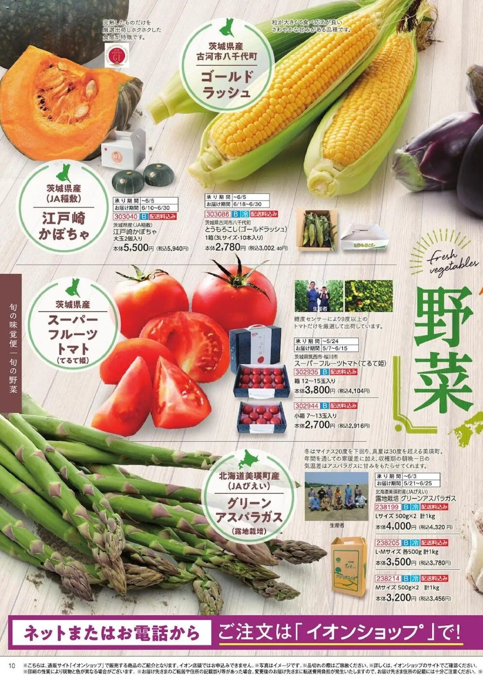 {H1} | ページ: 10