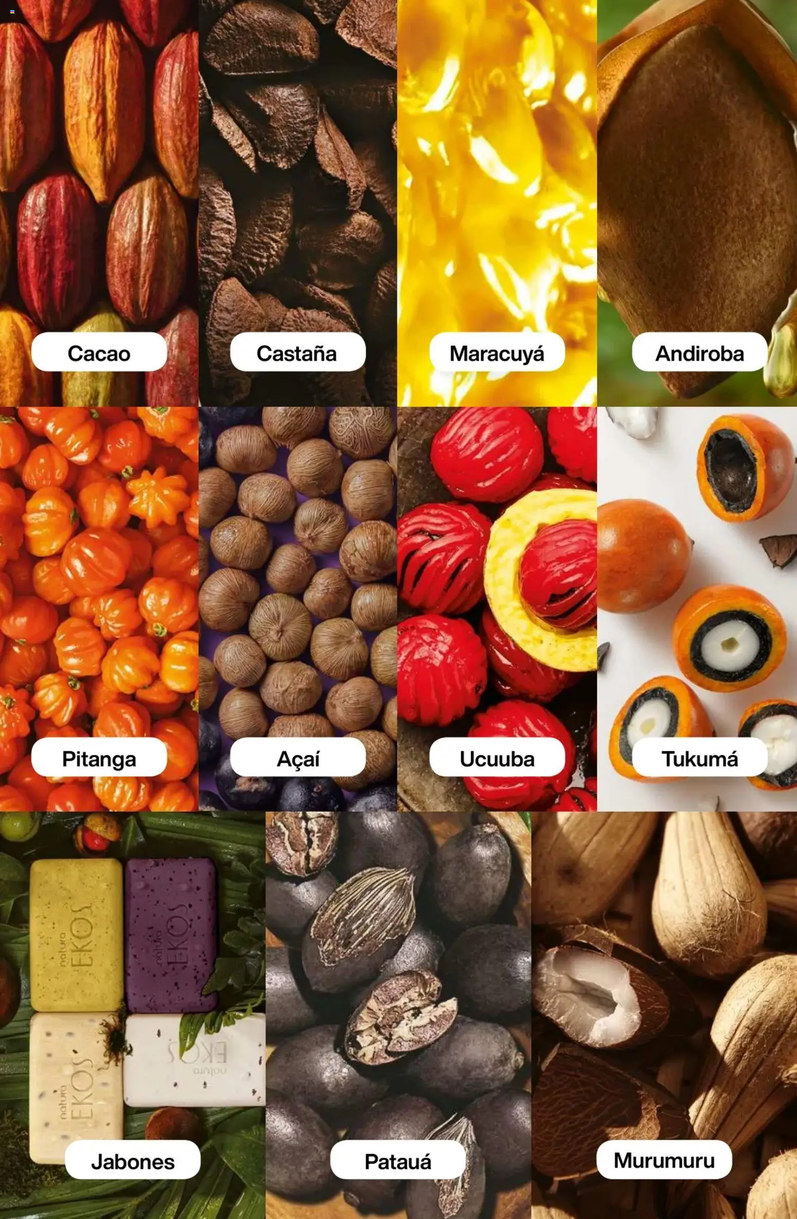 Catálogo Natura Ciclo 3 │ válido desde el 09.02.2026 | Página: 167 | Productos: Cacao