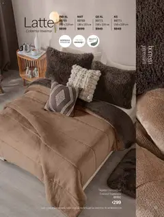 Vista previa de Vianney - Catálogo Invierno, nuevo folleto de la tienda, válido en México a partir del 15.08.2025 | Página: 41 | Productos: Cobertor, Tapete