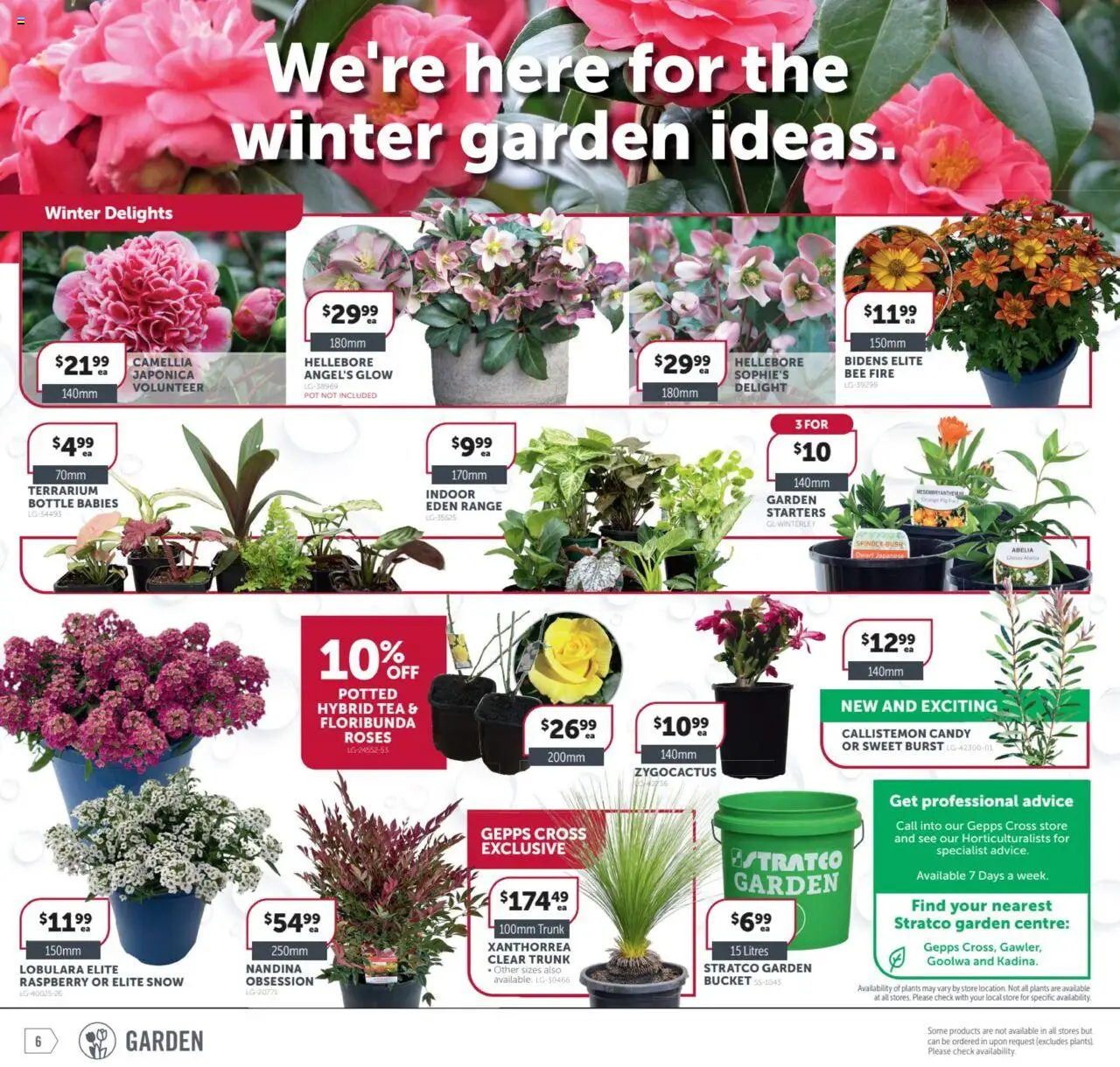 Stratco catalogue - valid from 27.06.2025 | Page: 6 | Products: Bucket, Pot, Tea, Raspberry