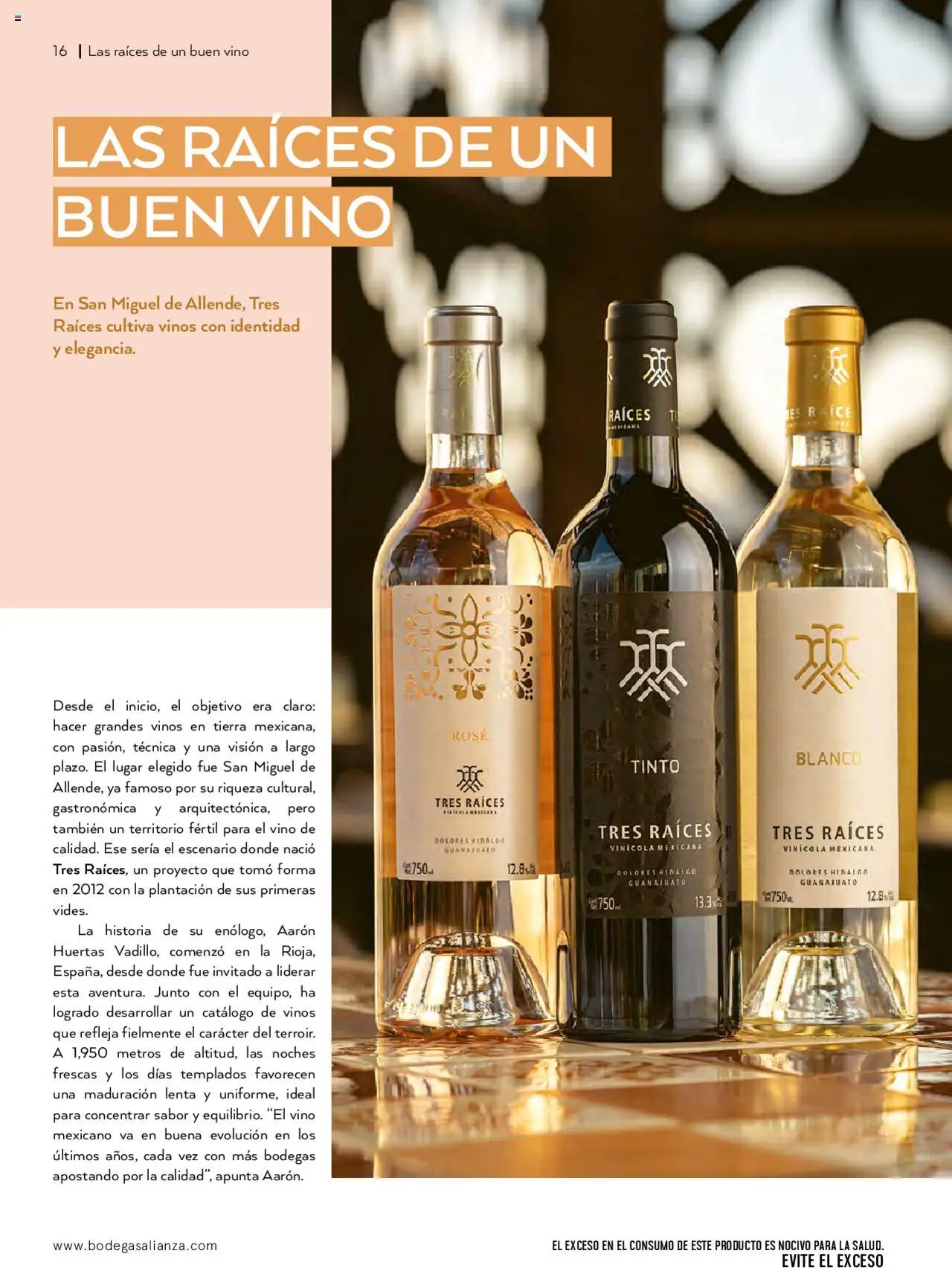 Nuevas ofertas de Bodegas Alianza válidas en toda la República Mexicana desde el 01.07.2025. ¡Encuentra las mejores ofertas en Bodegas Alianza catálogo Cava Morada! | Página: 18 | Productos: Vino