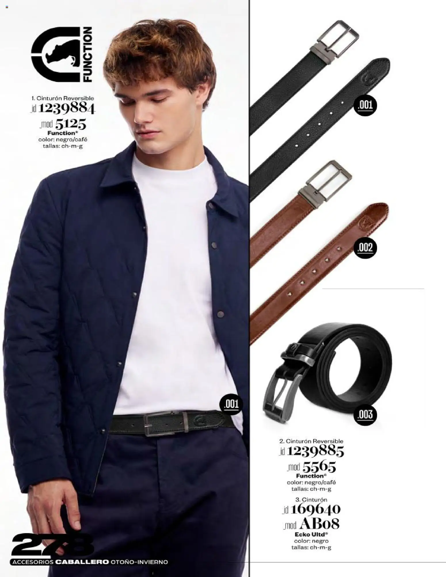 Nuevas ofertas de Price Shoes válidas en toda la República Mexicana desde el 03.11.2025. ¡Encuentra las mejores ofertas en Price Shoes catálogo Accesorios! | Página: 278 | Productos: Cinturón