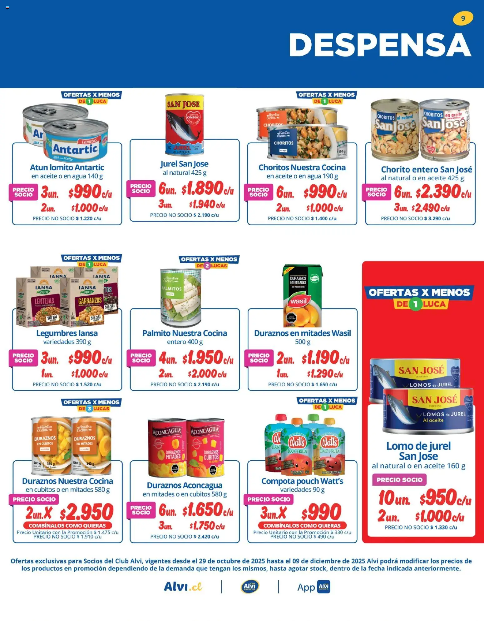 Alvi catálogo │ válido desde el 04.11.2025 | Página: 9 | Productos: Sal, Garbanzos, Palmitos, Cocina