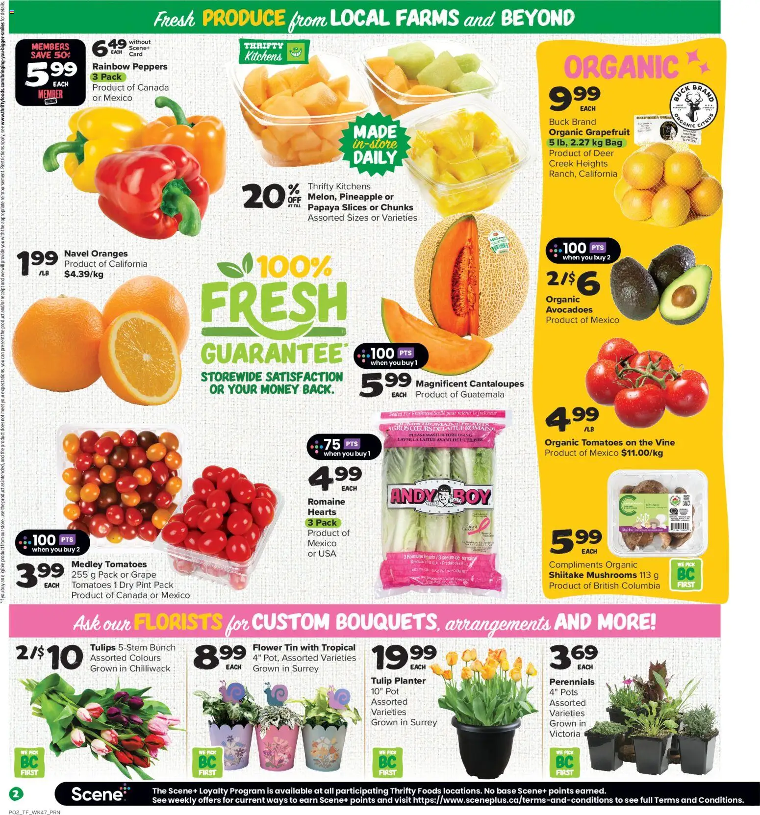 Thrifty Foods flyer valid from 19.03.2026 | Page: 3 | Products: Pineapple, Bag, Oranges, Tomatoes