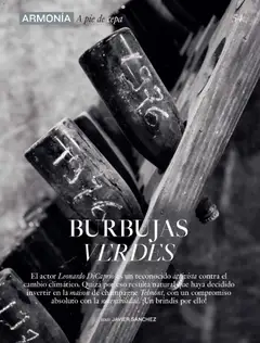 Vista previa de El Corte Inglés catálogo Gourmet, nuevo folleto de la tienda, válido en México a partir del 11.12.2025 | Página: 54 | Productos: Champagne