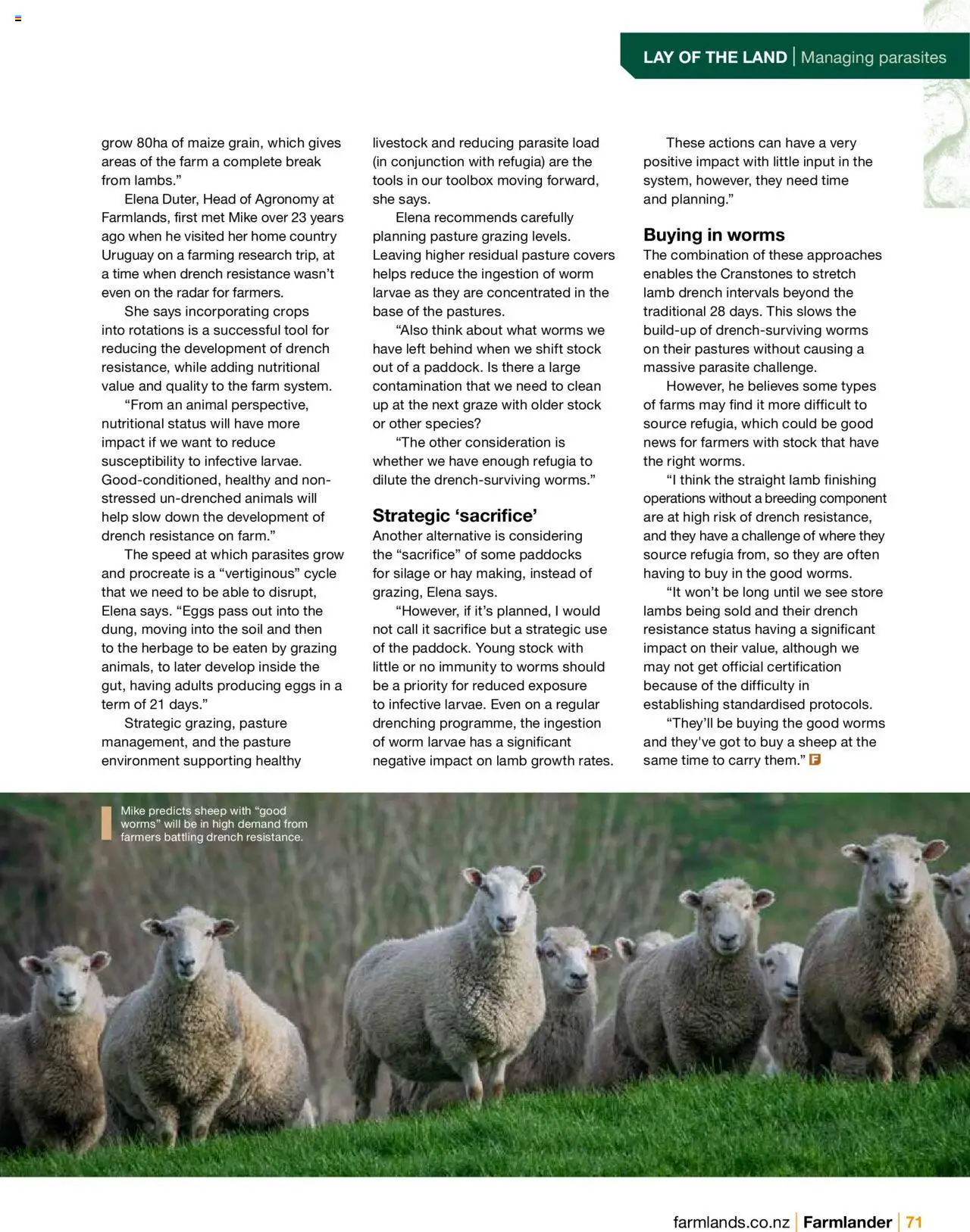 Farmlands catalogue from 01.09.2025 | Page: 73