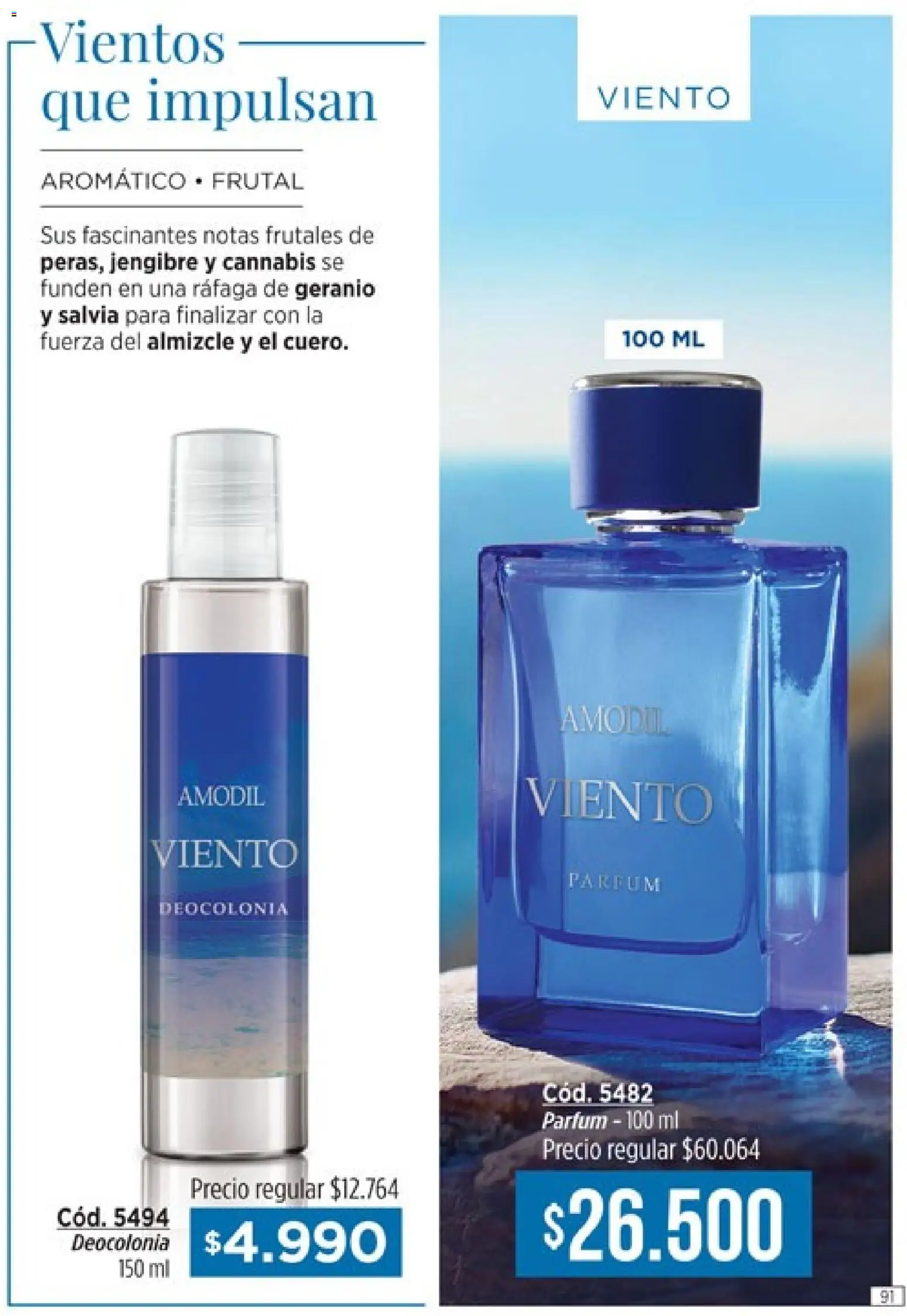 Catálogo Amodil Campaña 1/2026 │ válido desde el 01.01.2026 | Página: 91