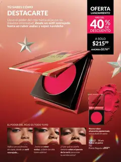 Vista previa de AVON campaña 17 2025, nuevo folleto de la tienda, válido en México a partir del 07.11.2025 | Página: 13 | Productos: Polvo, Rubor, Sobre