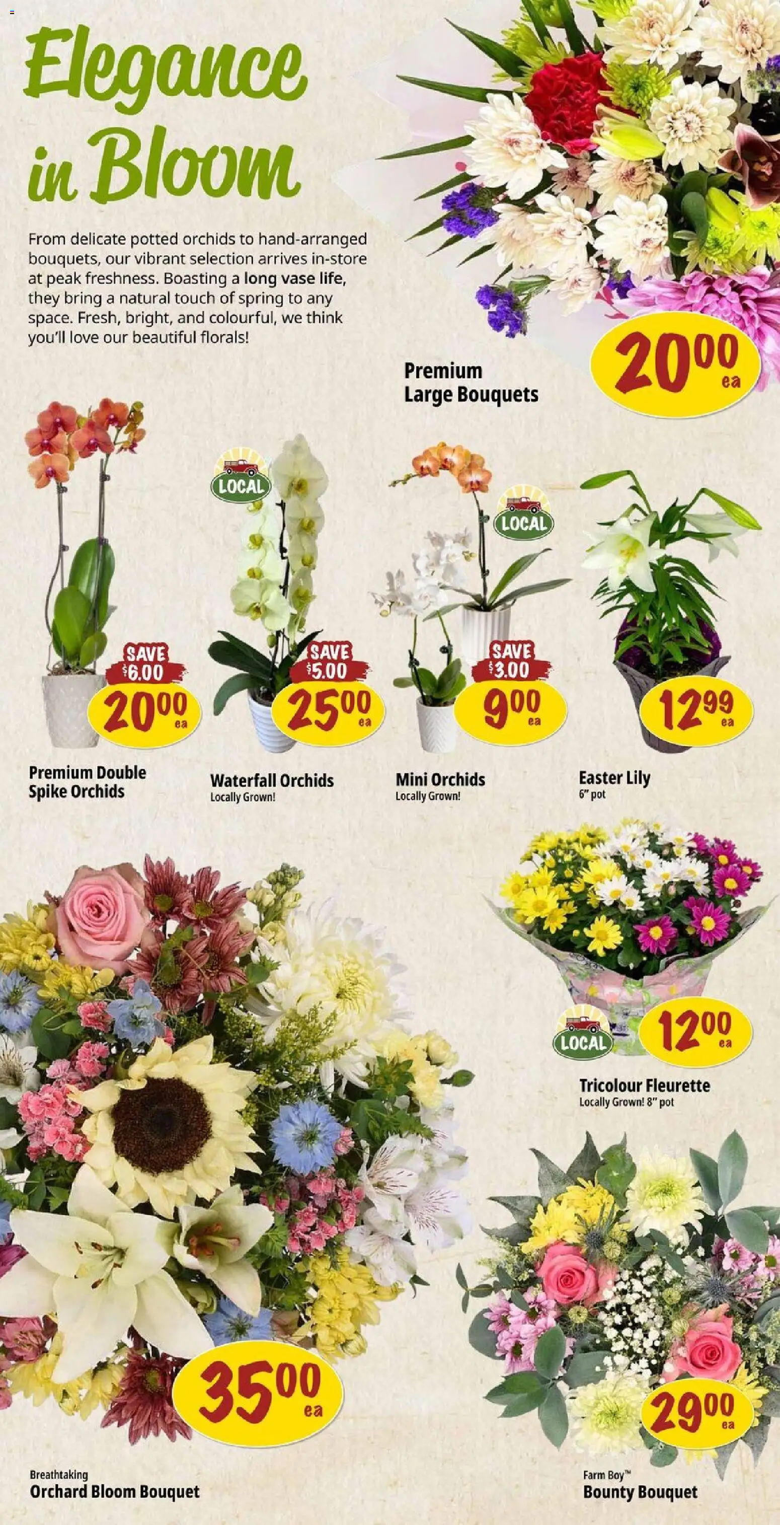 Farm Boy flyer valid from 26.03.2026 | Page: 6