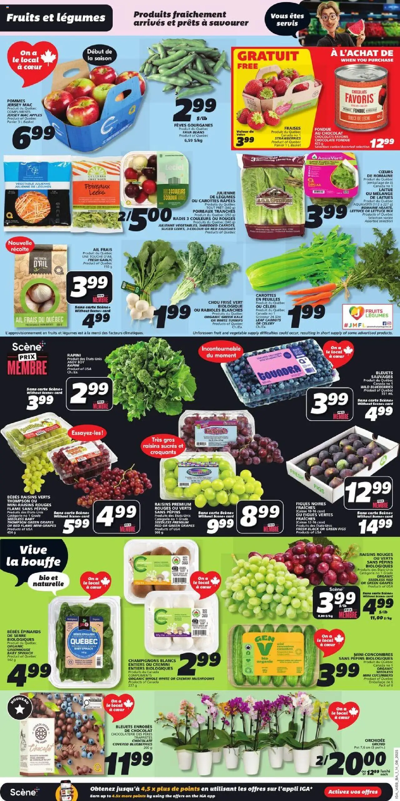 IGA flyer valid from 14.08.2025 | Page: 3 | Products: Strawberries, Cucumbers, Case, Apples