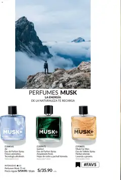 Catálogo Avon válido desde 29.08.2025 | Página: 74 | Productos: Té, EAU de Toilette