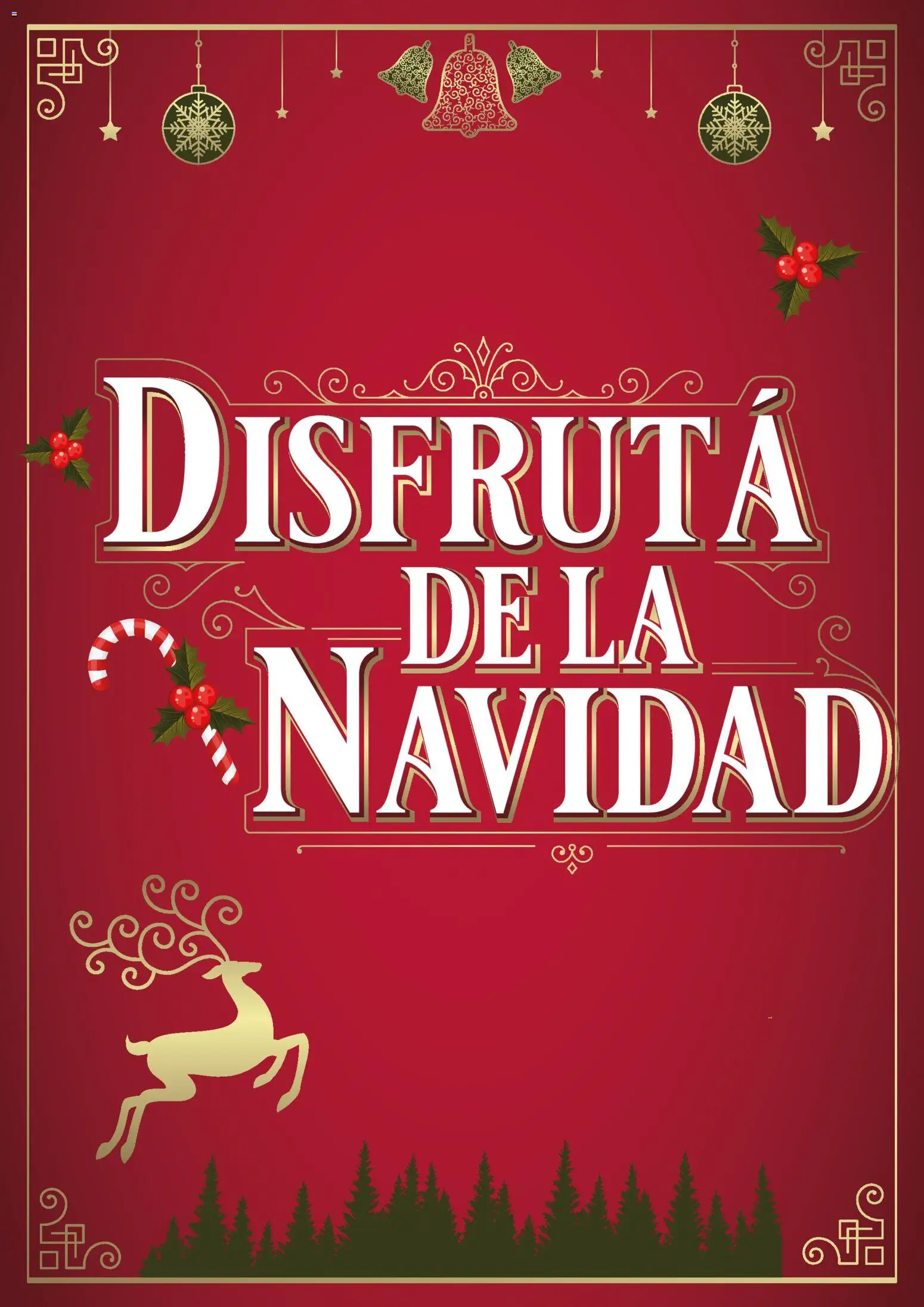 Jumbo - Deco Navidad │ válido desde el 05.11.2025 | Página: 1