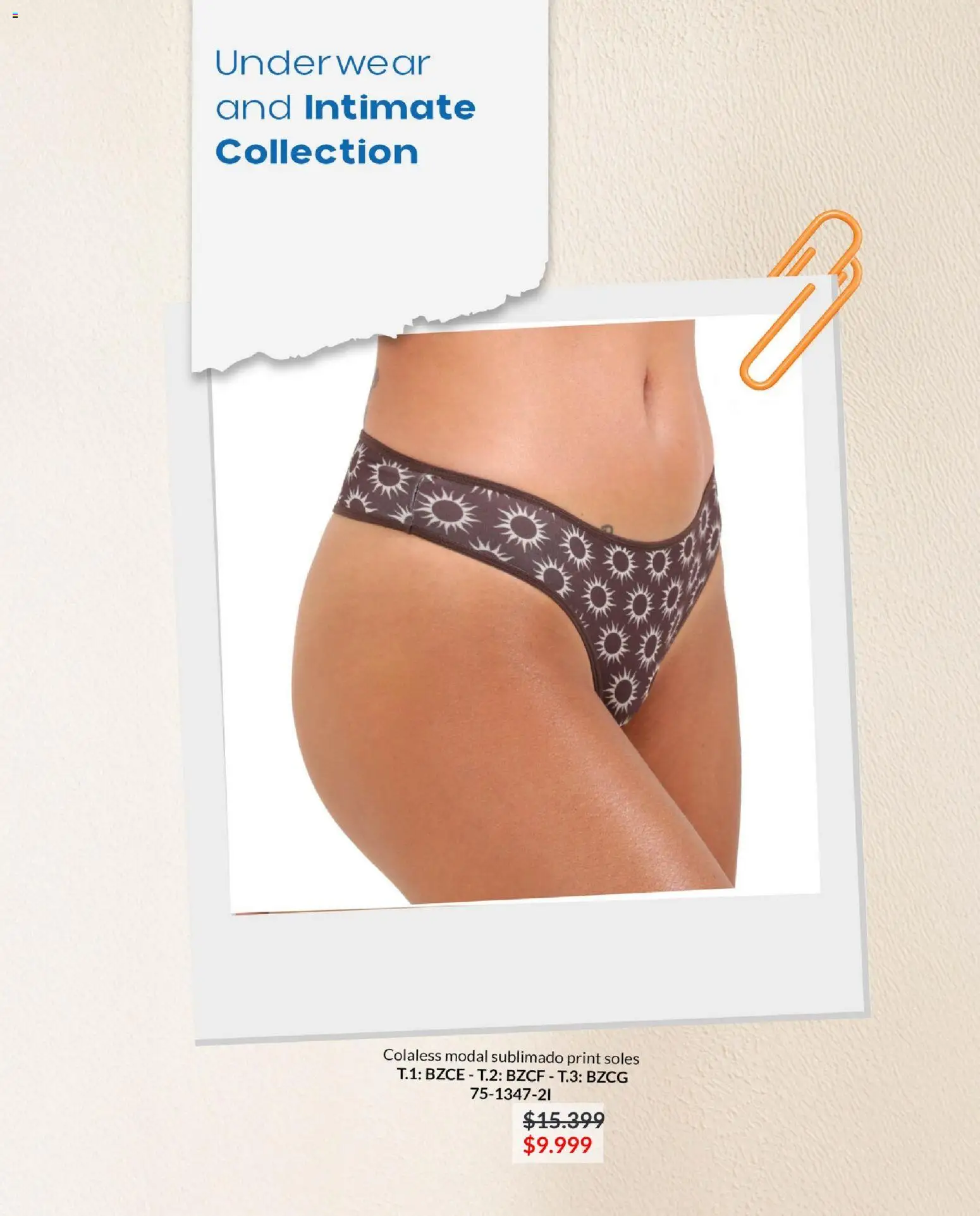 Vitnik - Folleto │ válido desde el 03.12.2025 | Página: 37