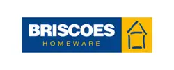 Logo Briscoes