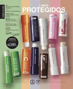 Vista previa Violetta catálogo válido desde el 01.01.2026 | Página: 40 | Productos: Aceite, Manteca, Uva, Cacao