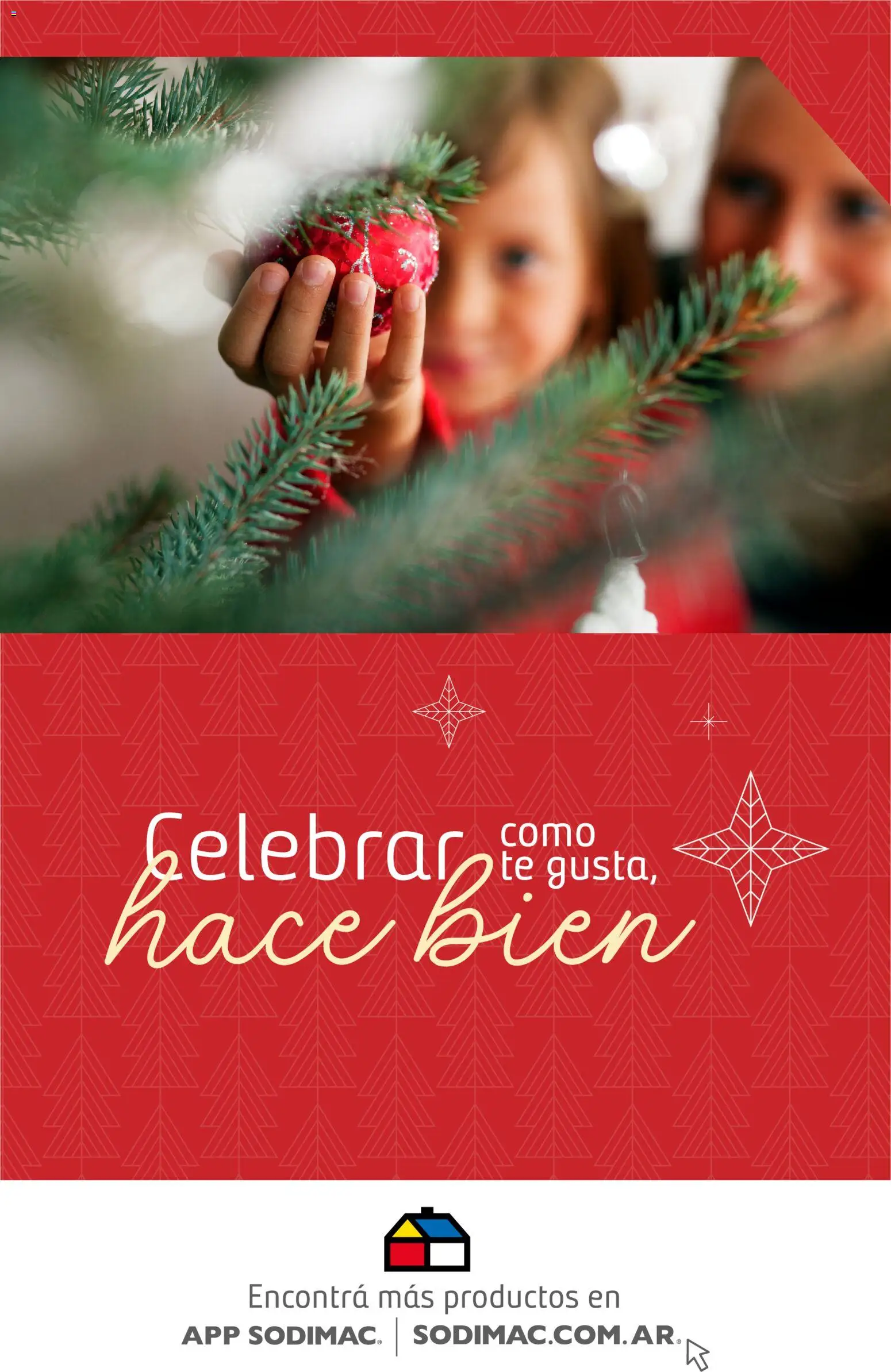 Punto Mayorista - Navidad │ válido desde el 13.11.2025 | Página: 12 | Productos: Té