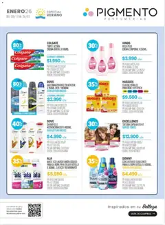 Vista previa Pigmento catálogo válido desde el 30.12.2025