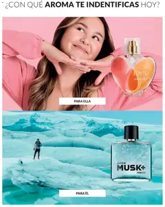 Vista previa de folleto Avon - Campaña 02 de la Avon válido desde 01.02.2026 | Página: 80 | Productos: Té