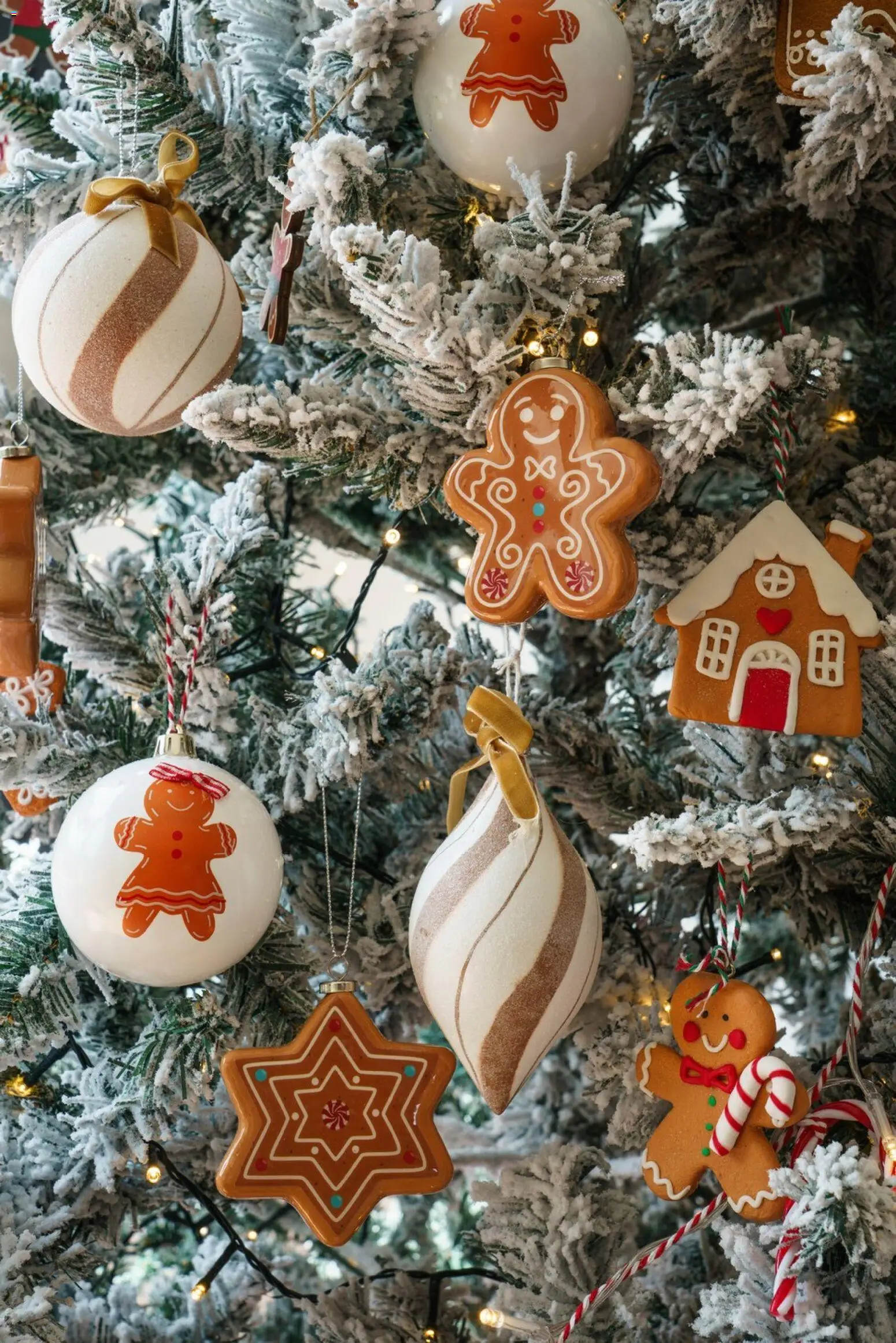 Easy - Catálogo - Navidad │ válido desde el 27.10.2025 | Página: 24