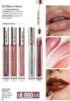 Vista previa Amodil - Campaña 8 válido desde el 08.04.2026 | Página: 40 | Productos: Brillo