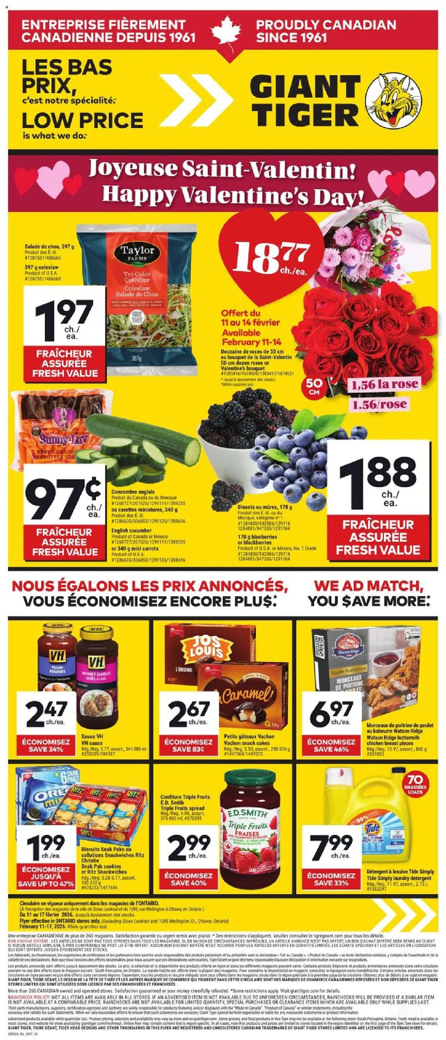 Giant Tiger flyer valid from 11.02.2026 | Page: 1