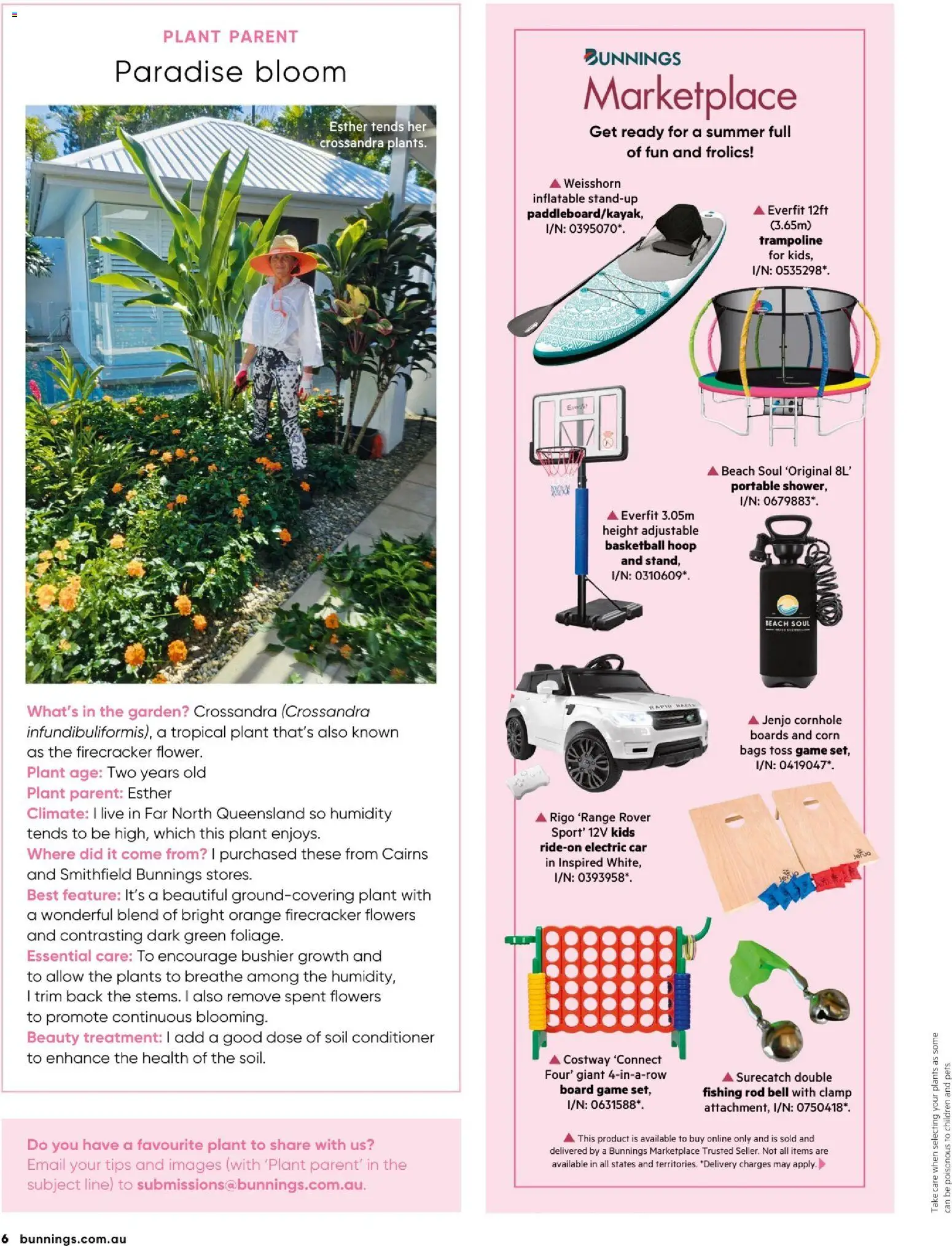 Bunnings Warehouse catalogue - valid from 01.12.2025 | Page: 6 | Products: Basketball, Plant, Conditioner, Portable