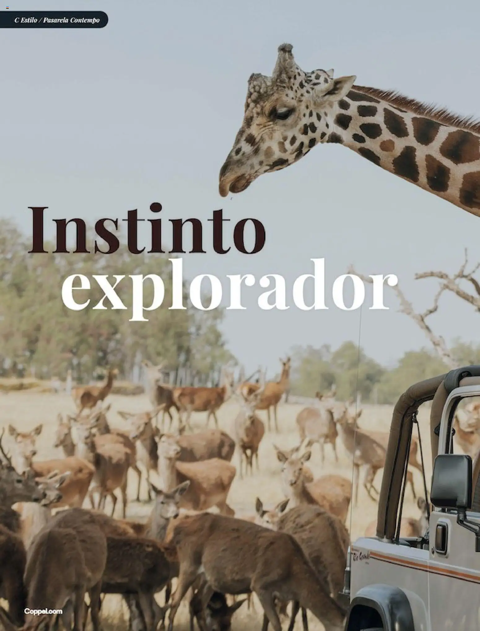 Nuevas ofertas de Coppel válidas en toda la República Mexicana desde el 01.03.2026. ¡Encuentra las mejores ofertas en Coppel catálogo ! | Página: 34