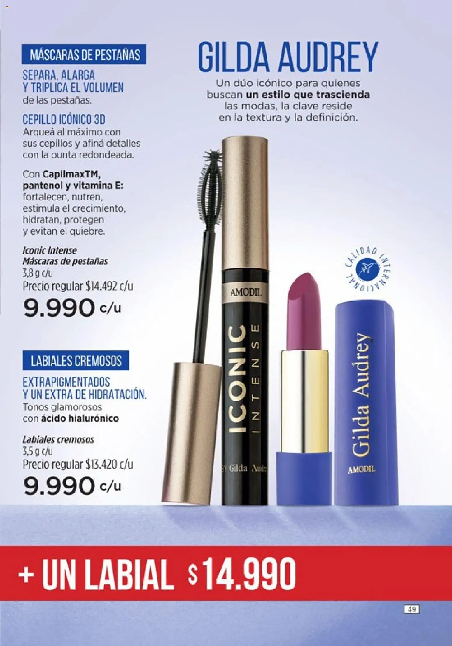 Catálogo Amodil Campaña 4 │ válido desde el 01.03.2026 | Página: 49 | Productos: Cepillo