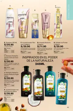Vista previa de folleto Leonisa - Aliados Leonisa de la Leonisa válido desde 23.10.2025 | Página: 43