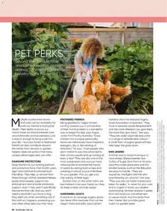 Preview of Catalogue Bunnings Warehouse January - valid from 01.01.2026 | Page: 62